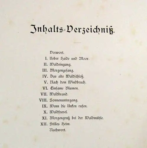 Scheffel Marak Willmann Waldeinsamkeit Zwölf landschaftl. Stimmungsbilder 1878 m