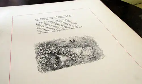 Scheffel Marak Willmann Waldeinsamkeit Zwölf landschaftl. Stimmungsbilder 1878 m