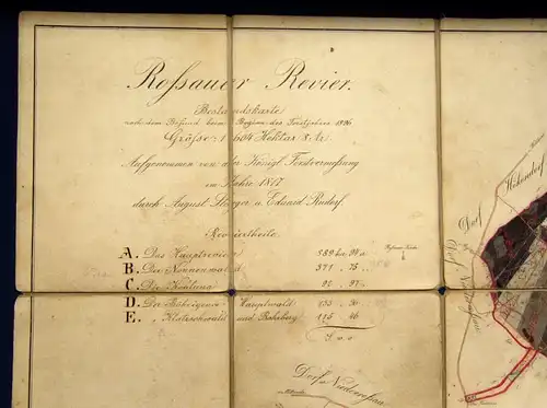 Handkolorierte Karte(fehlen 3 Segmente) Rossauer Revier 1817 sehr selten js