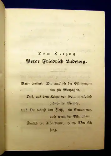 Voß Luise Ein ländliches Gedicht 1853 Selten Ausgabe letzter Hand Belletristik m