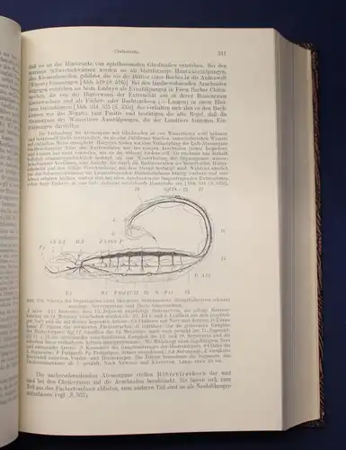 Kaestner Lehrbuch der Speziellen Zoologie Teil 1 Lief. 1-3 1954- 1963 Tiere js