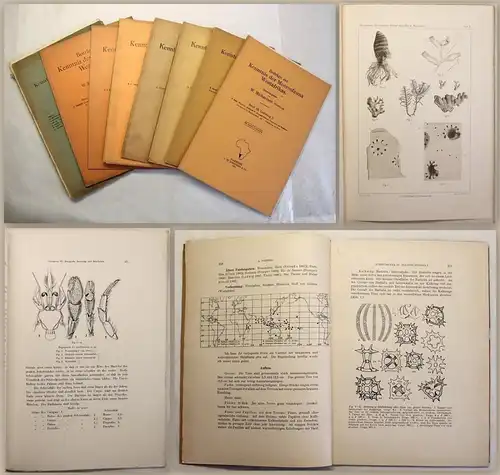 Michaelsen Meeresfauna Westafrikas 8 Hefte1914 - 1932 Botanik Naturkunde xz