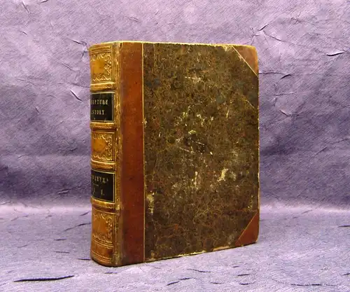 Hewlett Scipture History for Youth 1833 Belletristik englisch illustriert mb