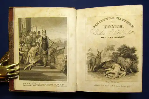 Hewlett Scipture History for Youth 1833 Belletristik englisch illustriert mb