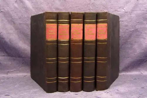 Dickens Lebensgeschichte David Kopperfield´s 1-10 komplett 1851 Belletristik mb