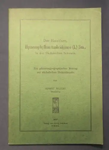 Wilpert Der Hautfarn,Hymenophyllum tunbridgense(L) Sm.,Sächs.Schweiz 1937 js