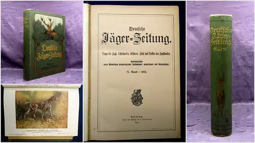Deutsche Jäger-Zeitung Organ für Jagd, Zucht, Dressur [...] 71. Band 1918 mb