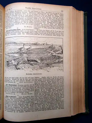 Deutsche Jäger-Zeitung Organ für Jagd, Zucht, Dressur [...] 71. Band 1918 mb