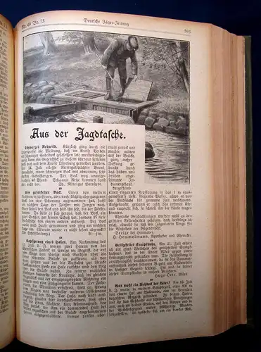 Deutsche Jäger-Zeitung Organ für Jagd, Zucht, Dressur [...] 73. Band 1919 mb