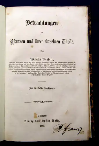 Neubert Betrachtungen der Pflanzen und ihrer einzelnen Theile 1865 Selten  mb