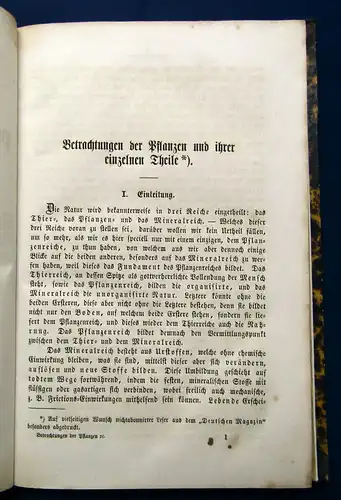 Neubert Betrachtungen der Pflanzen und ihrer einzelnen Theile 1865 Selten  mb