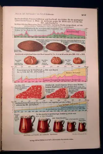 Hickmann Wien im neunzehnten Jahrhundert 1903 41 Tafeln in Farbendruck mb