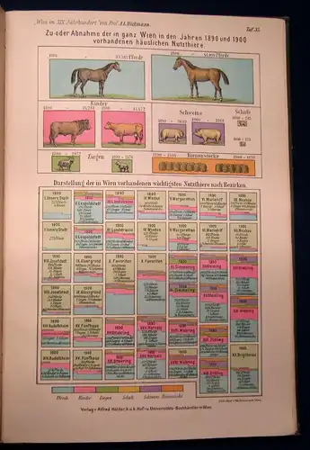 Hickmann Wien im neunzehnten Jahrhundert 1903 41 Tafeln in Farbendruck mb
