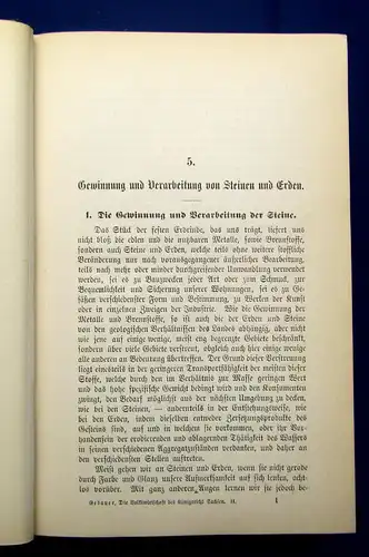 Gebauer Die Volkswirtschaft im Königreiche Sachsen 2. Band apart 1893  mb