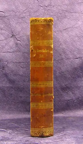 Gerstäcker Gesammelte Schriften Bd. 38 Buntes Treiben um 1870 Belletristik mb