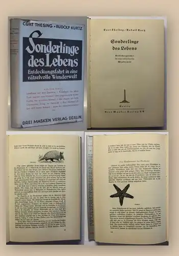 Thesing Sonderlinge des Lebens 1936 Entdeckungsfahrt Reisen Geografie Ortskunde