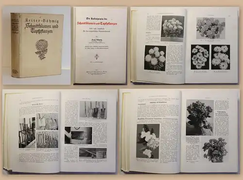 Böhmig Kulturpraxis der Schnittblumen und Topfpflanzen 1942 Gartenbau Botanik xz