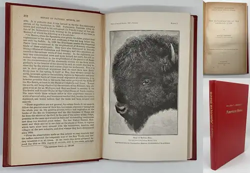 Hornaday, William Temple 1889 The Extermination of the American Bison,... am