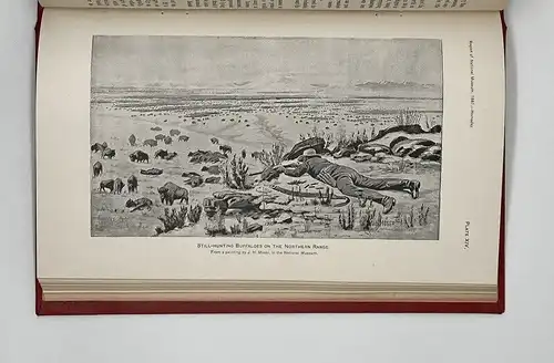 Hornaday, William Temple 1889 The Extermination of the American Bison,... am