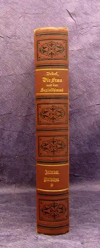 Bebel Die Frau und der Sozialismus 1913 Geschichte Gesellschaft mb