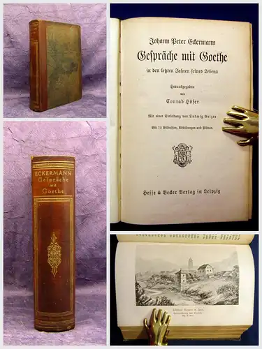 Eckermann Gespräche mit Goethe 1913 73 Bilder Abb. und Pläne Belletristik mb