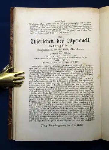 Gutbier Geognostische Skizzen aus der sächsischen Schweiz 1858 Selten mb