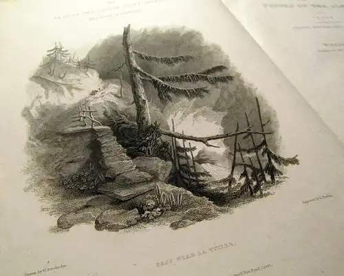 Brockedon, William 1828 Illustrations of the Passes of the Alps, by... am