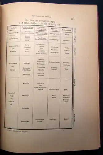 Sterne Werden und vergehen Eine Entwicklungsgeschichte 2 Bde. Kosmos 1905/06 js