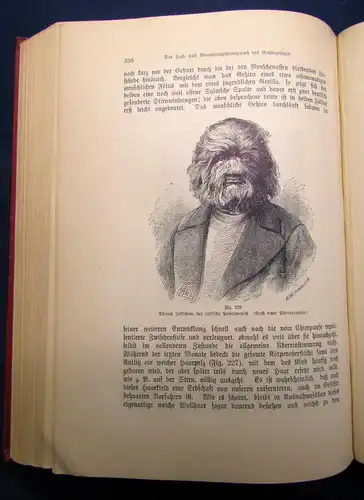 Sterne Werden und vergehen Eine Entwicklungsgeschichte 2 Bde. Kosmos 1905/06 js