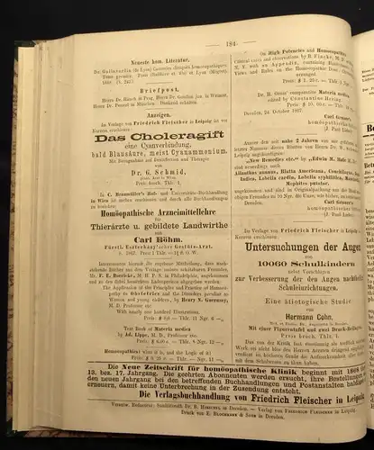 Hirschel Neue Zeitschrift für Homöopatische Klinik 13.Bd. 1867-69 Heilungen js