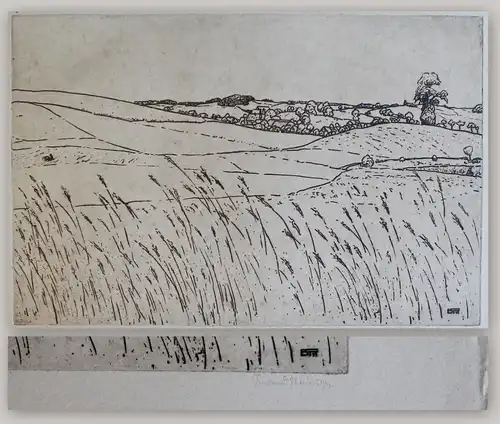 Ferdinand Steiniger Radierung Stilles Dörfchen 1911 Grafik Landschaft Sachsen xz