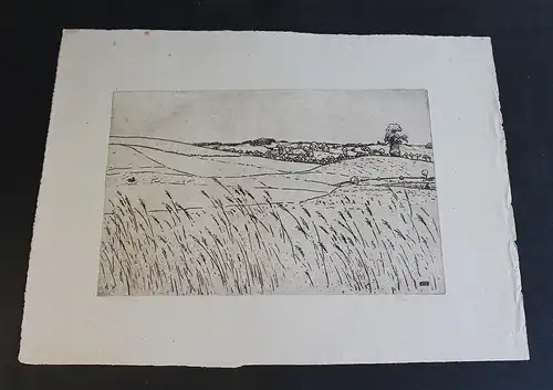 Ferdinand Steiniger Radierung Stilles Dörfchen 1911 Grafik Landschaft Sachsen xz