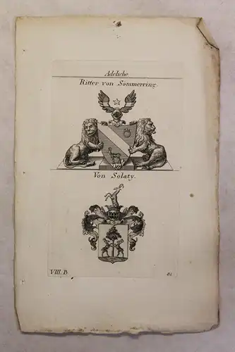 Kupferstich Wappen Familie Ritter v Sömmerring & Von Solaty 1825 Heraldik Bayern