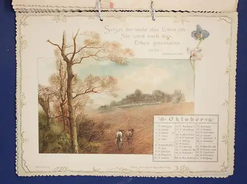 Schiller Kalender für 1895 Chromolithographie Farblitghographie Kunst js