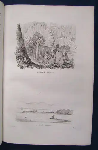 Voyage Pittoresque Autour Du Monde 1800 Landschaftlich reizvolle Reise  js