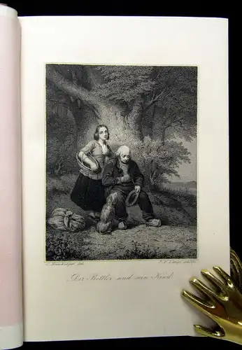 Mügge Vielliebchen Ein Taschenbuch für 1851 Belletristik Literatur Lyrik mb