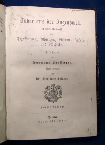 Steinecke Bilder aus der Jugendwelt um 1860 Märchen Erzählungen Fabeln sf