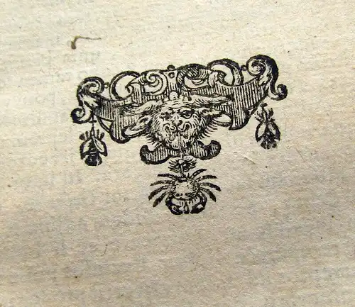 Jonston, Joannes 1632 Thaumatographia naturalis am