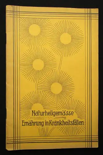 Kuttner, Meuerer, Ruh, Junker 5 Kochbücher Broschuren um 1900 Hobby Genuss js