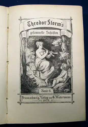 Theodor Storm`s gesammelte Schriften 6 Bände in 3+ 2 Zusatzbände 1872 Lyrik js