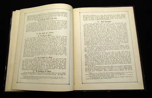 Schmidt, Ernst Oswald Dr. 1882 Die hundert plastischen Darstellungen... am