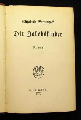 Braunhoff Die Jakobskinder Roman 1916 selten Widmung des Verfassers js