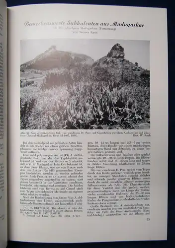 Kakteen und andere Sukkulenten Jahrgang 16, 1965 Pflanzenkunde Botanik js