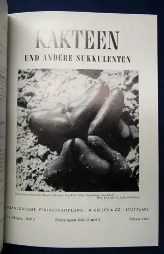Kakteen und andere Sukkulenten Jahrgang 16, 1965 Pflanzenkunde Botanik js