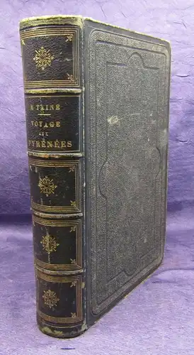 Taine Voyage Aux Pyrenees 1860 Illustration von Gustav Dore Belletristik js