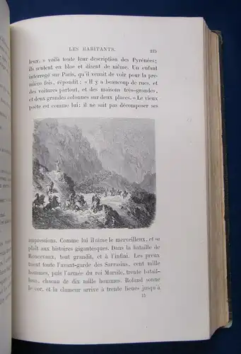 Taine Voyage Aux Pyrenees 1860 Illustration von Gustav Dore Belletristik js