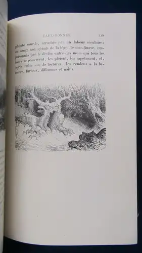 Taine Voyage Aux Pyrenees 1860 Illustration von Gustav Dore Belletristik js