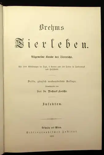 Brehm Tierleben Die Säugetiere 9. Bd apart 1892 Naturwissenschaften Tiere js