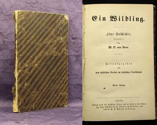 Horn Ein Wildling. Eine Geschichte 1871 Abenteuerromane Belletristik js