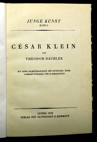 Däubler, Theodor Junge Kunst Bd. 5 Cesar Klein 32 Abbildungen 1919 Kultur js